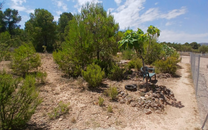 Resale - Equestrian property -
Zarra