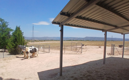 Resale - Equestrian property -
Zarra