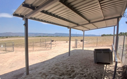 Resale - Equestrian property -
Zarra