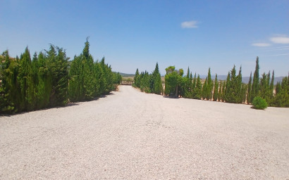 Resale - Equestrian property -
Zarra