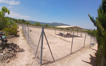 Resale - Equestrian property -
Zarra