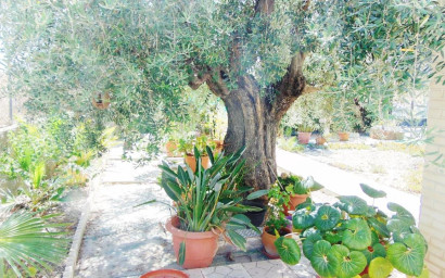 Resale - Villa -
Fortuna - FORTUNA