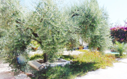 Resale - Villa -
Fortuna - FORTUNA