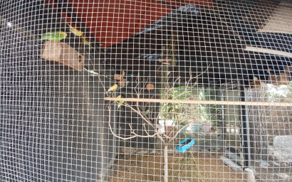 Herverkoop - Villa -
Sax