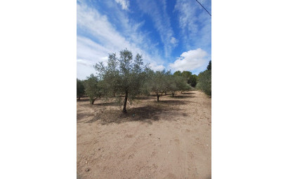 Herverkoop - Villa -
Sax