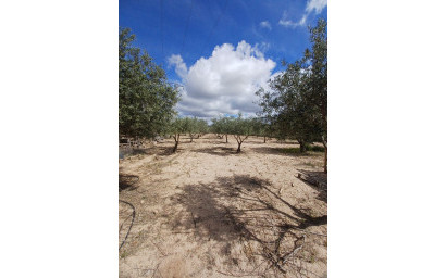 Herverkoop - Villa -
Sax