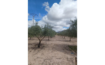 Herverkoop - Villa -
Sax