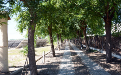 Herverkoop - Villa -
Daya Vieja