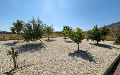 Resale - Villa -
Hondón de las Nieves - HONDON DE LAS NIEVES