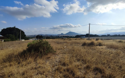 Revente - Terrain -
Sax