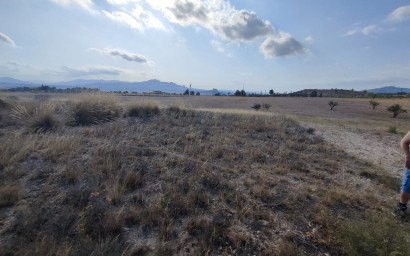 Revente - Terrain -
Sax