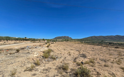 Revente - Terrain -
Salinas