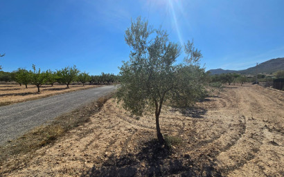 Herverkoop - Land -
Salinas