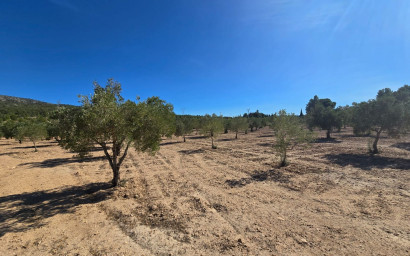 Herverkoop - Land -
Salinas