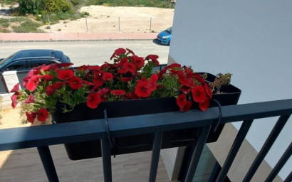 Resale - Villa -
Ciudad Quesada