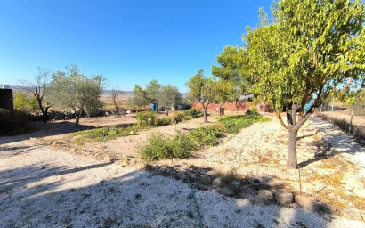 Herverkoop - Landhuis -
Yecla