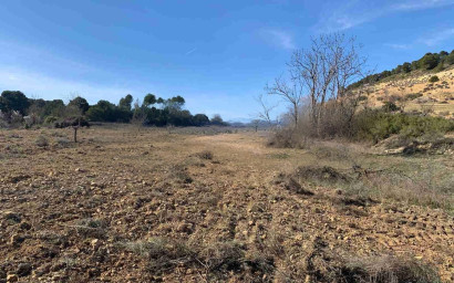 Resale - Finca / Country Property -
Almansa