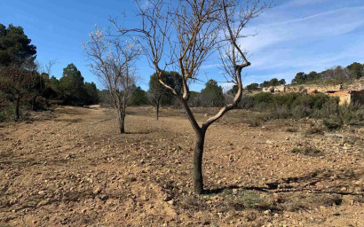 Resale - Finca / Country Property -
Almansa