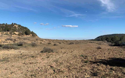 Resale - Finca / Country Property -
Almansa