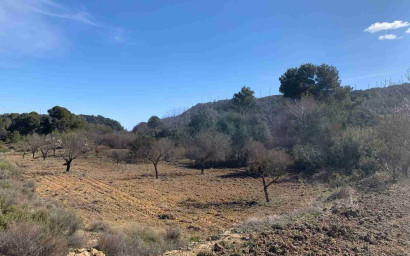 Resale - Finca / Country Property -
Almansa