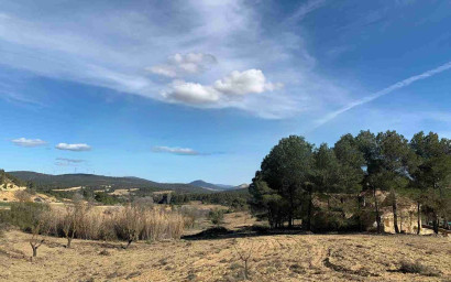 Resale - Finca / Country Property -
Almansa