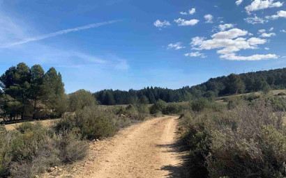 Resale - Finca / Country Property -
Almansa