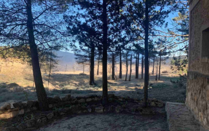 Resale - Finca / Country Property -
Almansa