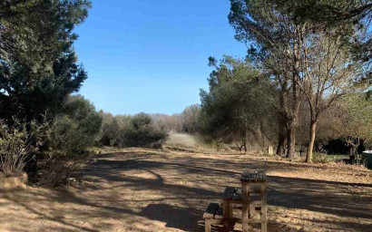 Resale - Finca / Country Property -
Almansa