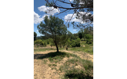 Resale - Finca / Country Property -
Almansa