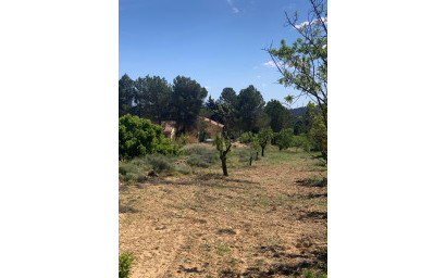Resale - Finca / Country Property -
Almansa