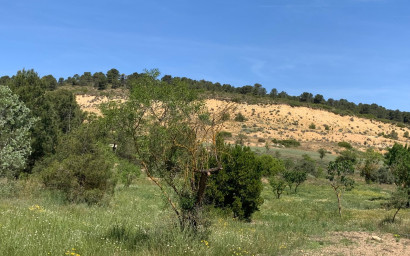 Resale - Finca / Country Property -
Almansa