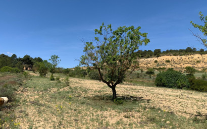 Resale - Finca / Country Property -
Almansa