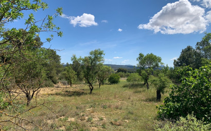 Resale - Finca / Country Property -
Almansa