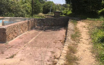 Resale - Finca / Country Property -
Almansa