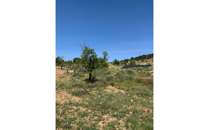 Resale - Finca / Country Property -
Almansa