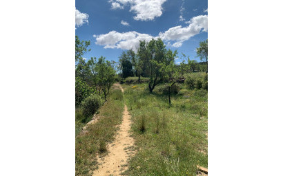 Resale - Finca / Country Property -
Almansa