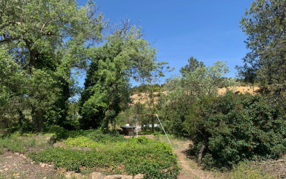 Resale - Finca / Country Property -
Almansa