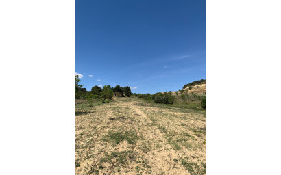 Resale - Finca / Country Property -
Almansa