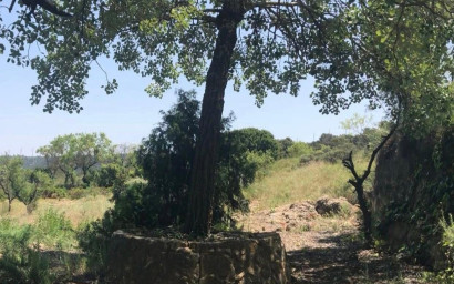 Resale - Finca / Country Property -
Almansa