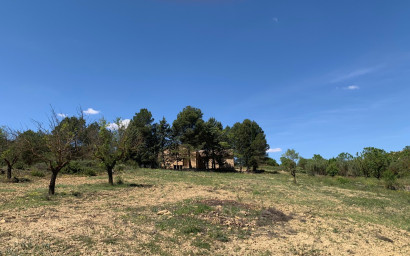 Resale - Finca / Country Property -
Almansa