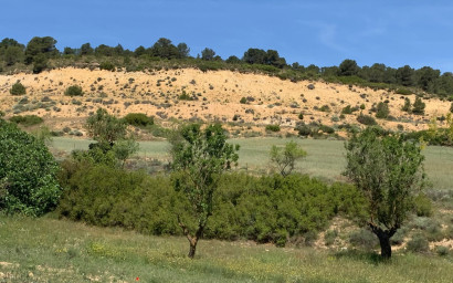 Resale - Finca / Country Property -
Almansa