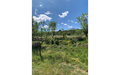 Resale - Finca / Country Property -
Almansa