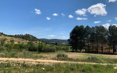 Resale - Finca / Country Property -
Almansa