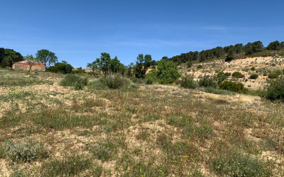 Resale - Finca / Country Property -
Almansa