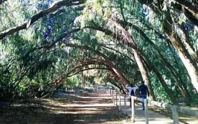 Nouvelle construction - Appartement -
Torrevieja - Altos del Sol