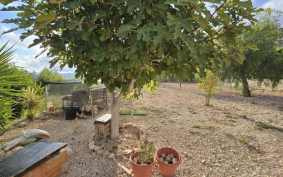 Resale - Villa -
Sax