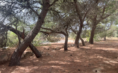 Herverkoop - Landhuis -
Yecla