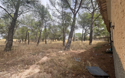 Herverkoop - Landhuis -
Yecla