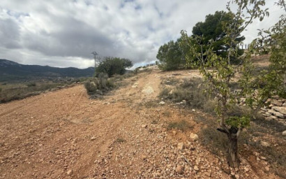 Resale - Land -
La Romana