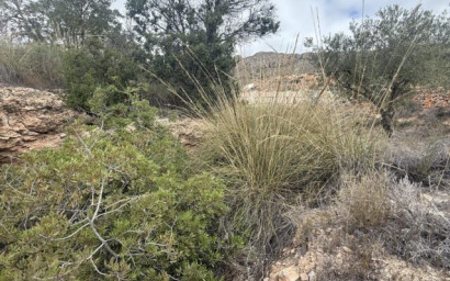 Resale - Land -
La Romana